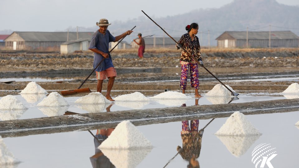 Kampot Salt Fields